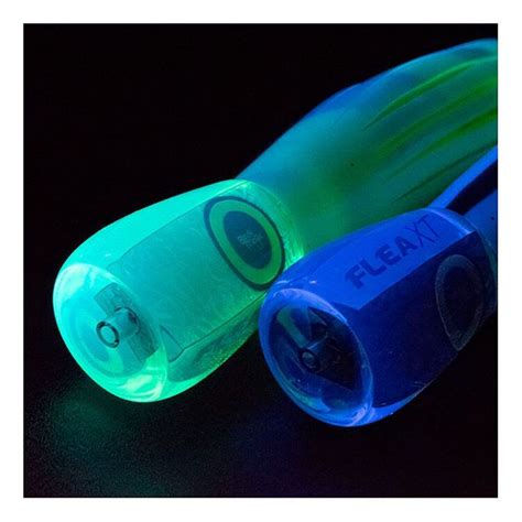Shining Light on the Unknown: The Magic of a UV Torch